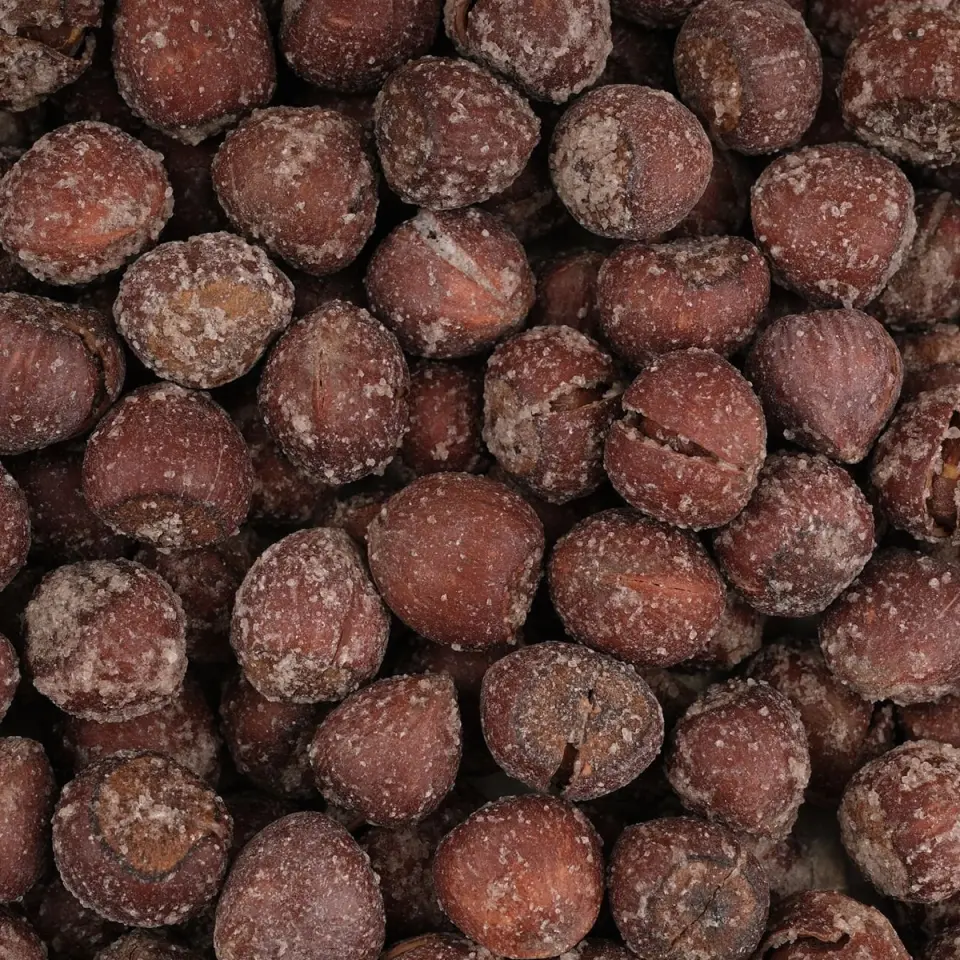 MESUT KABUKLU FINDIK 500 GRAM PAKET