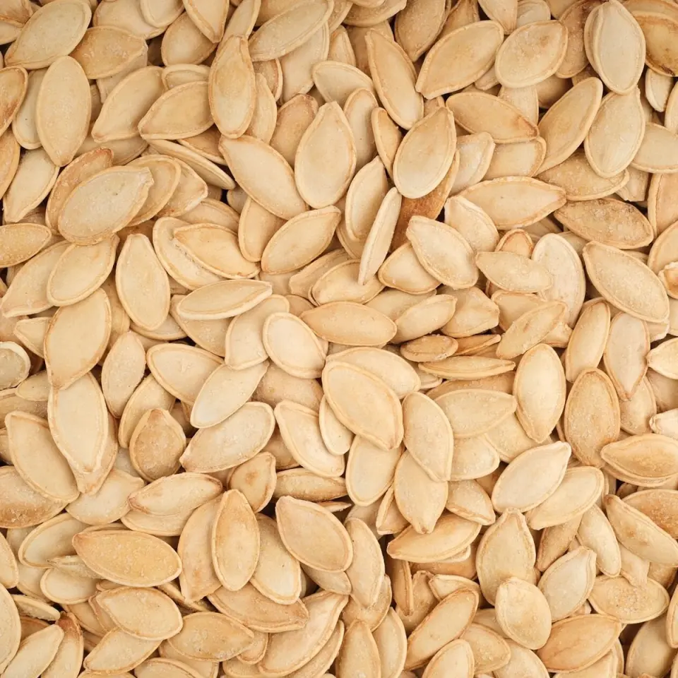 MESUT KABAK ÇEKİRDEĞİ ÜRGÜP 500 GRAM PAKET