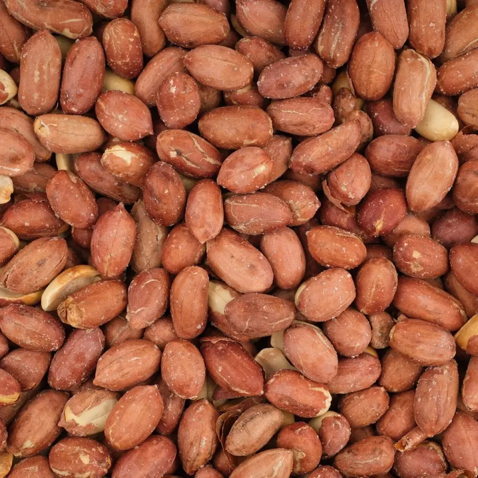 MESUT YER FISTIĞI 500 GRAM PAKET