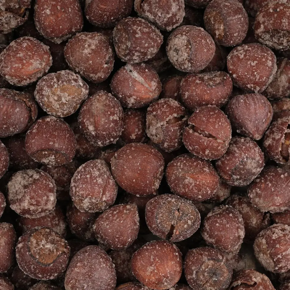 AYINTAP KABUKLU FINDIK