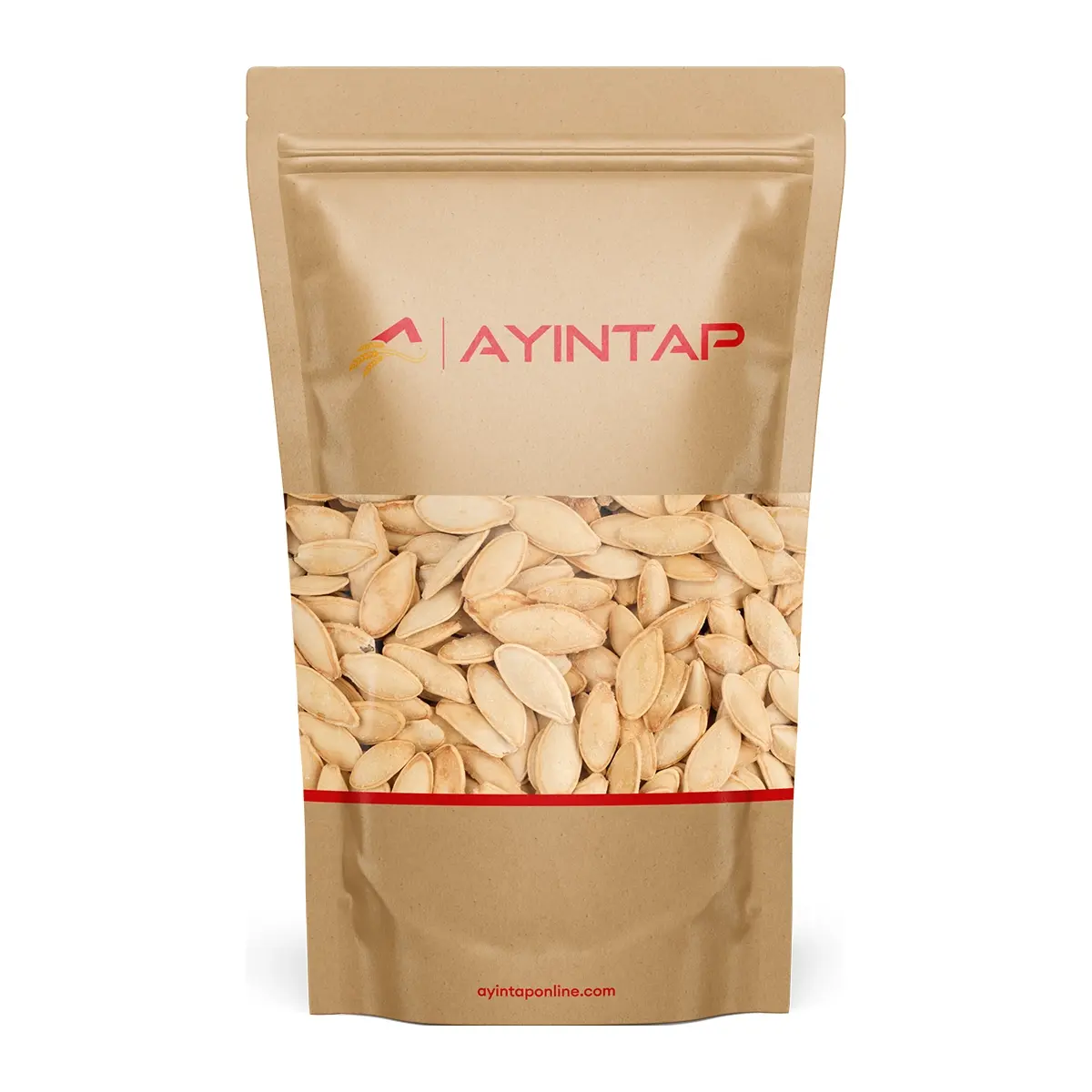 AYINTAP KABAK ÇEKİRDEĞİ ÜRGÜP