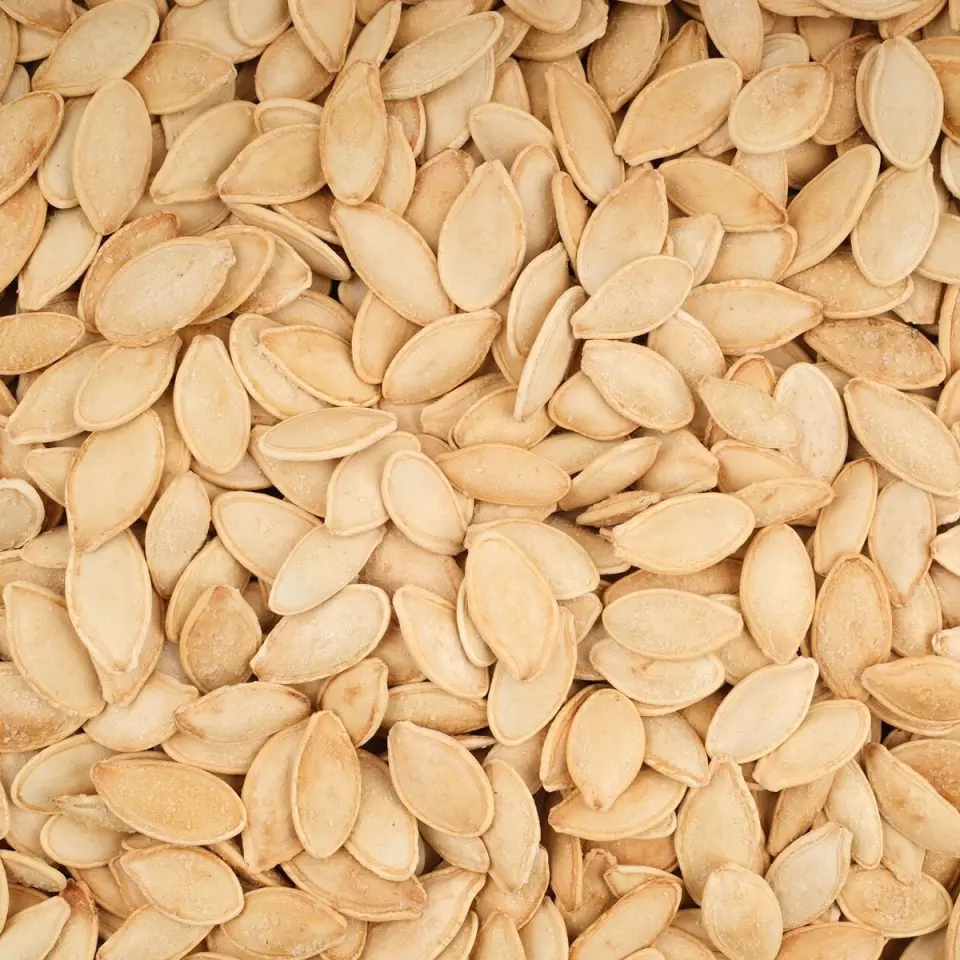 AYINTAP KABAK ÇEKİRDEĞİ ÜRGÜP