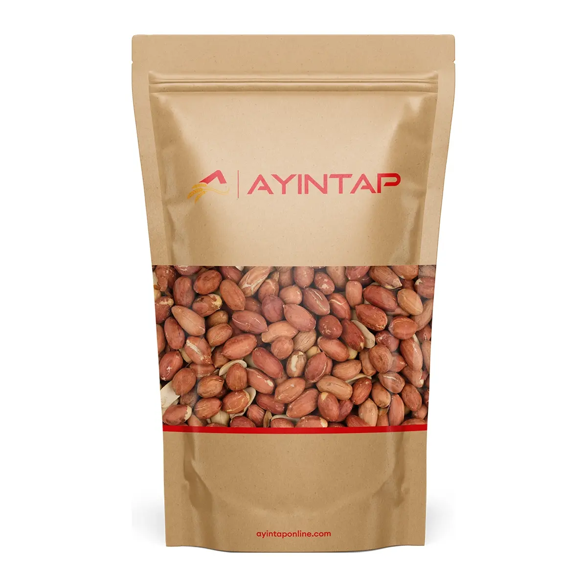 AYINTAP YER FISTIĞI