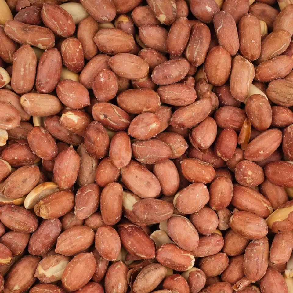 AYINTAP YER FISTIĞI