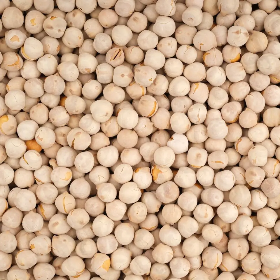 AYINTAP LEBLEBİ BEYAZ